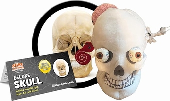 Skull DeLuxe